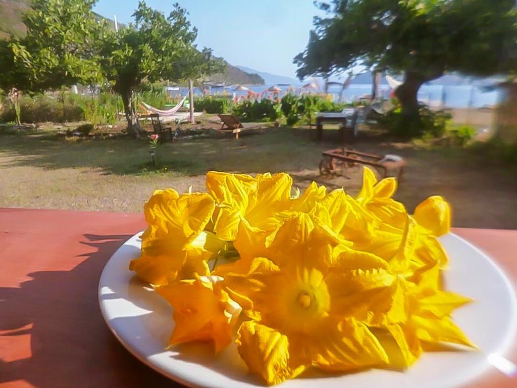 Kocabahce Glamping Camping Marmaris