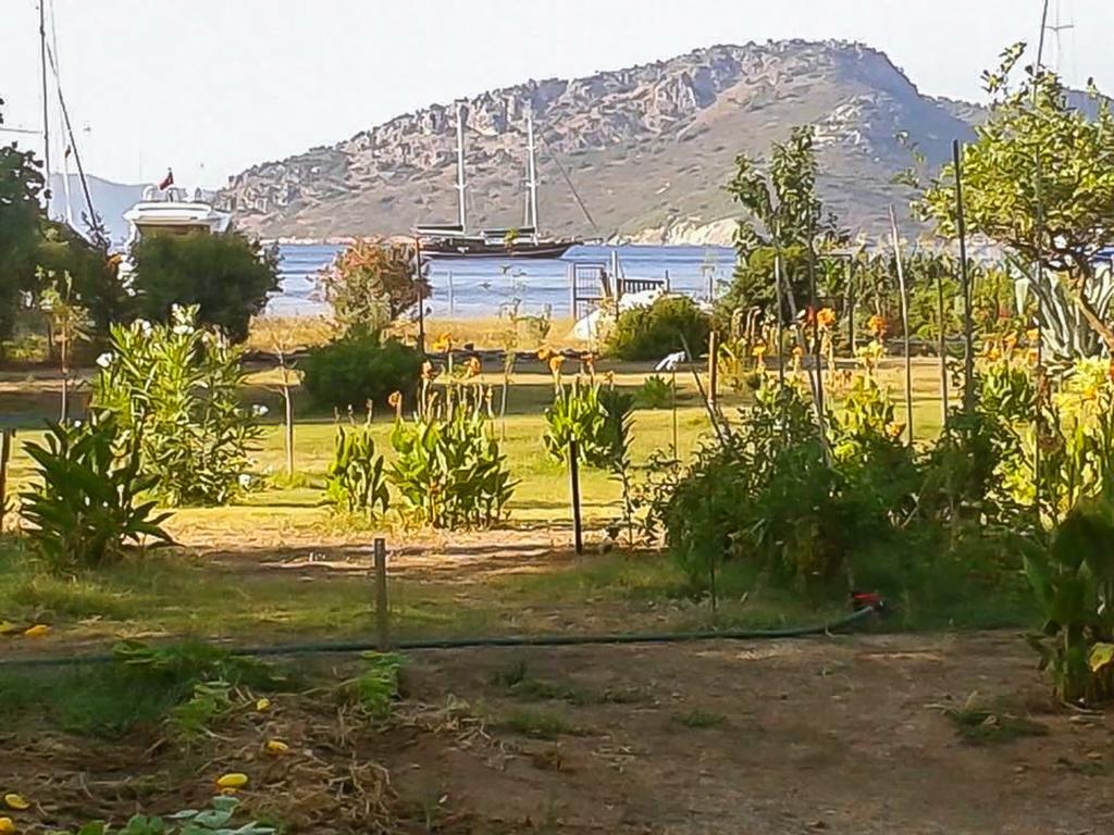 Campsite Kocabahce Glamping *